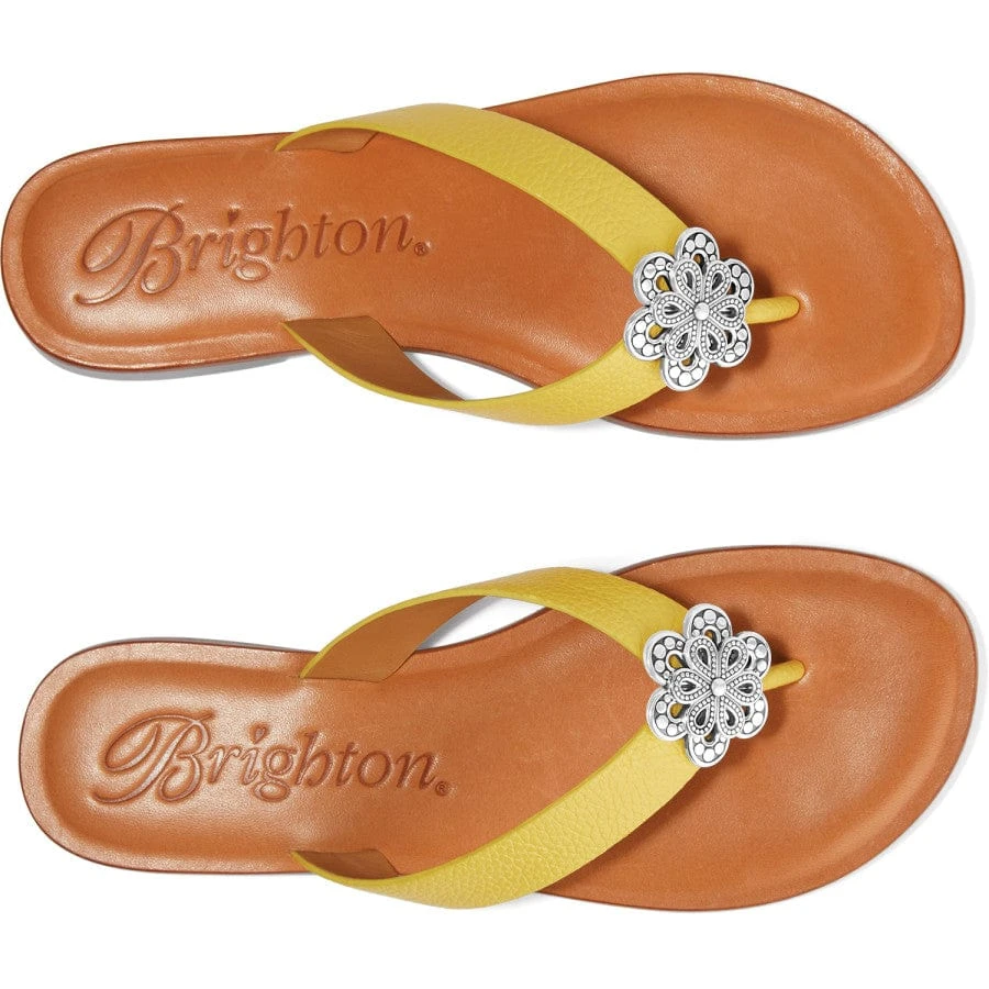 Aster Flower Thongs Aster Flower Thongs -Fashion-Accessories-Brighton aster flower thongs lemon 2