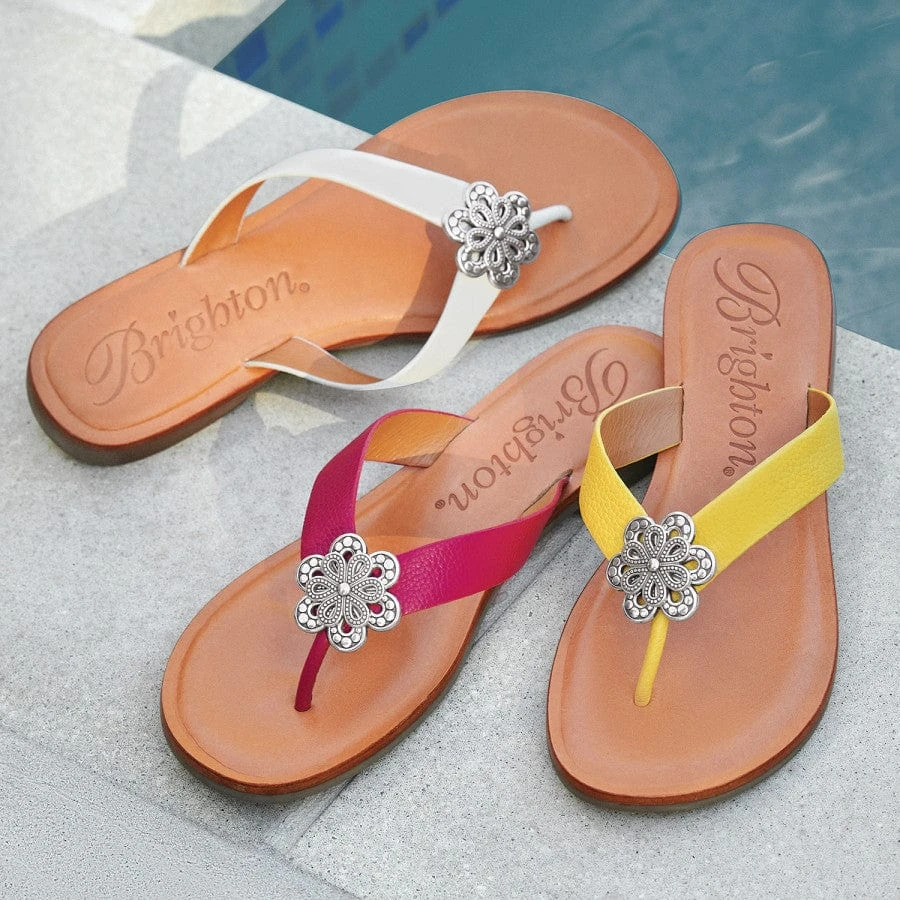 Aster Flower Thongs Aster Flower Thongs -Fashion-Accessories-Brighton aster flower thongs lemon 3