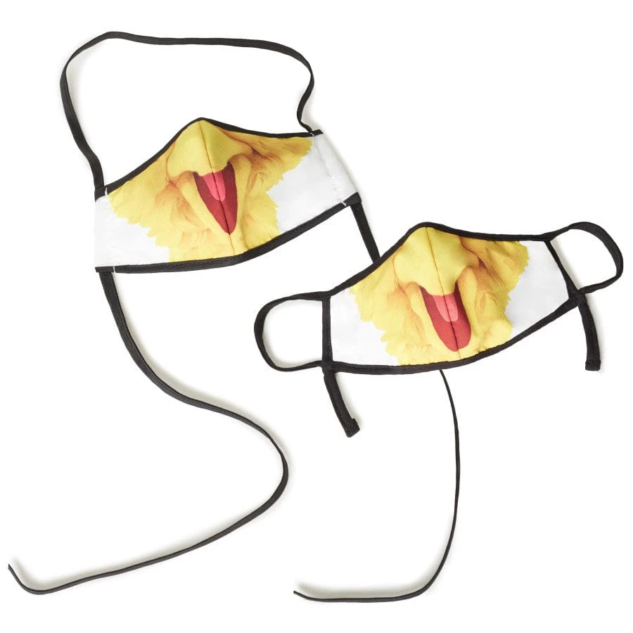 Sesame Street Big Bird Adult/Child Face Mask (2 pack) Sesame Street Big Bird Adult/Child Face Mask (2 Pack) -Fashion-Accessories-Brighton sesame street big bird adult child face mask 2 pack multi 0 a66b68de 689e 43a8 9cc8 9f35070c2abd